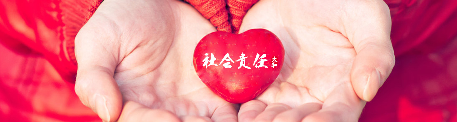 KS凯时·(中国区)官方网站